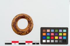 Foto von Bersteinringperle (NHMW-PRAE-024962)